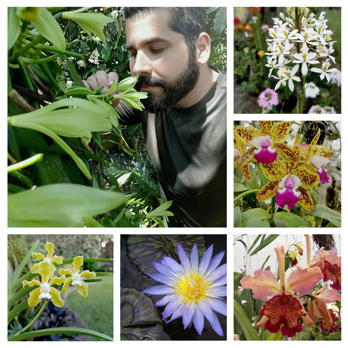 Juan Perez In His Garden