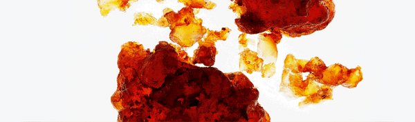 AMBERBEE