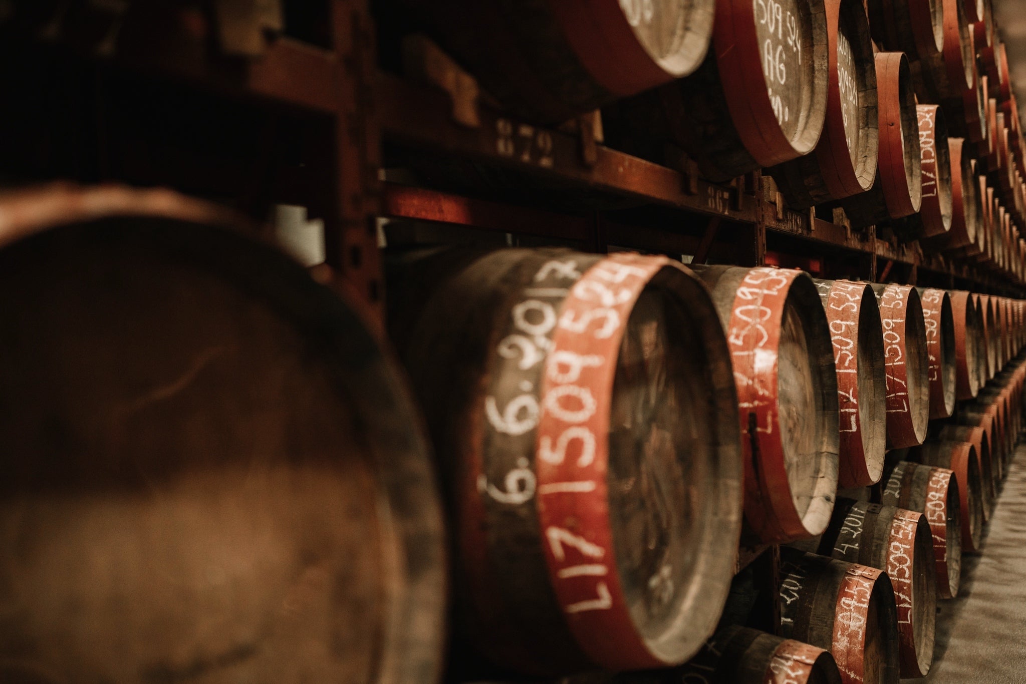 Rum barrels in Arehucas distillery