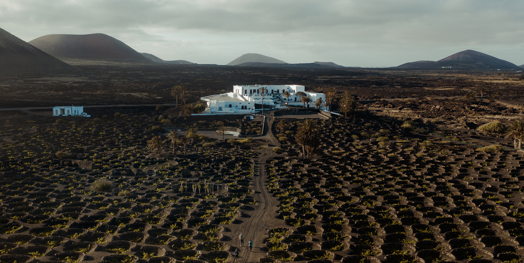 Finca Testeina Lanzarote