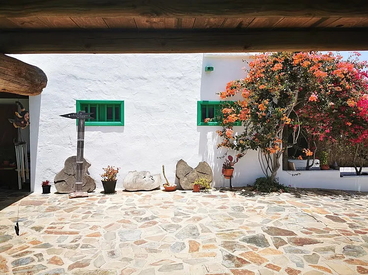 Lanzarote Wine Tour