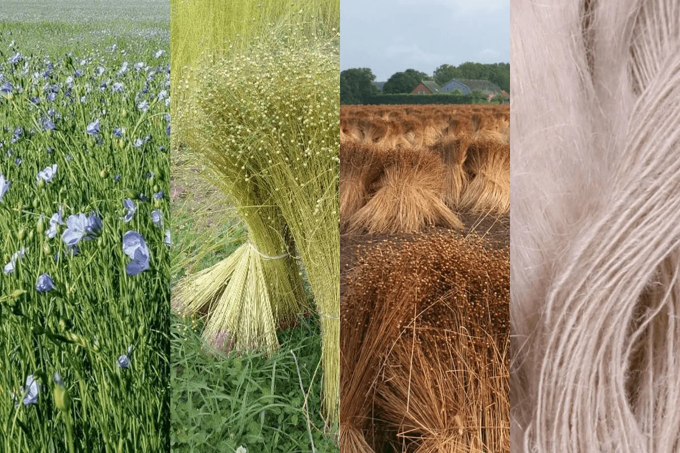 flax to linen process