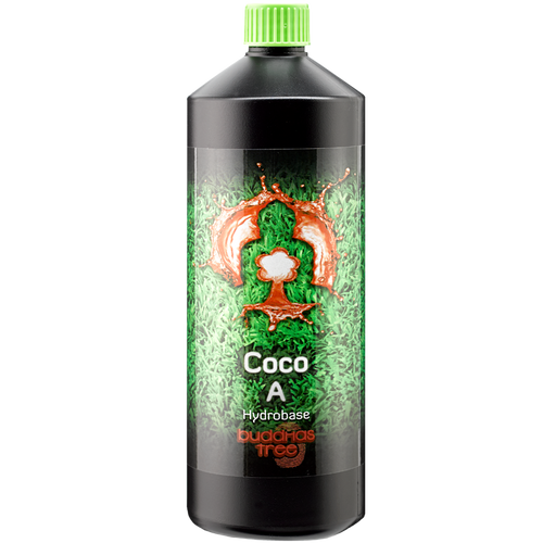 Buddhas Tree Coco A & B