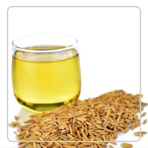 Rice Bran Oil