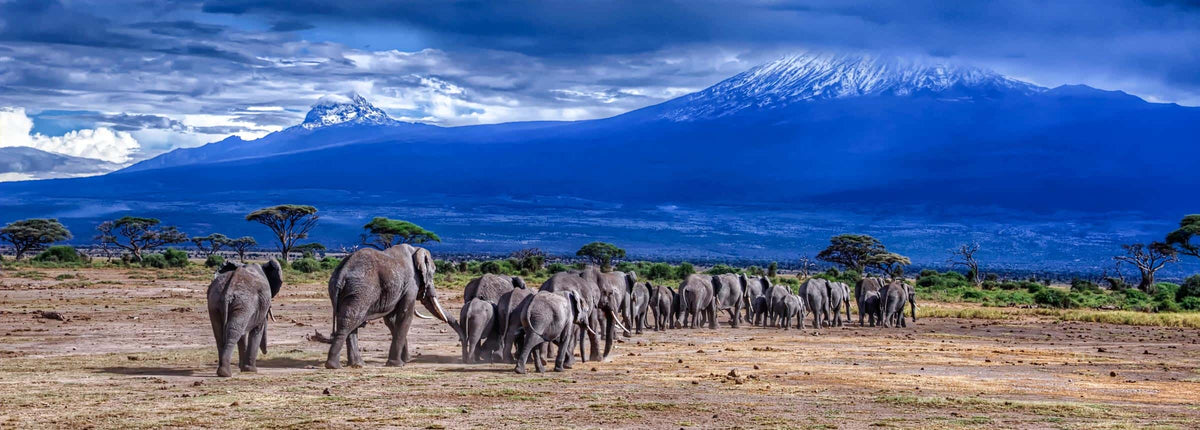 facts about kenya tourism