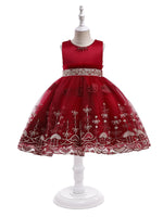 Sweet Elegant Girl Exquisite Embroidered Mesh Princess Sleeveless Dress