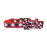 Soapy Moose Adjustable Collar with Bow Tie Trendsetter