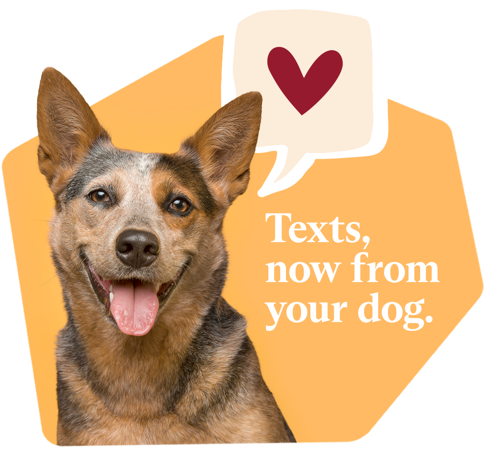 Texts, now from your dog.
