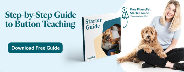 Free downloadable Button Teaching Guide