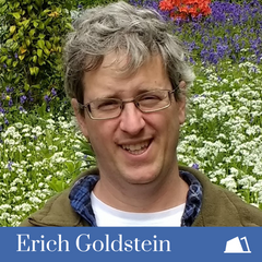 Erich Goldstein