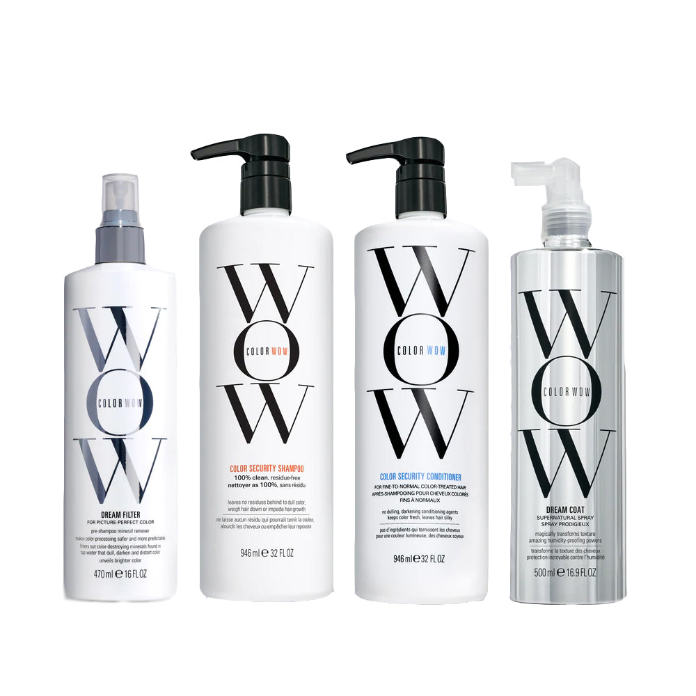 COLOR WOW Dream Smooth Travel Kit Includes Shampoo, Conditioner and Dream  Coat - Get the silky, liquidy, glossy texture of your dreams and defy