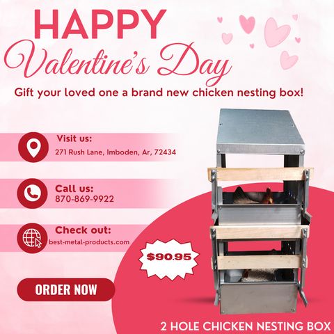 2 hole chicken nesting box for valentines day