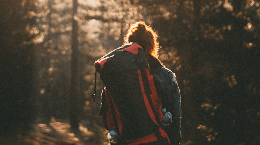 Person with backpack wandering through a forest