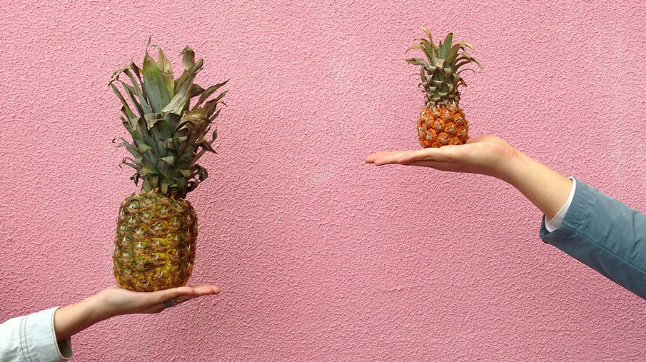 Two hands holding pineapples on them, comparing the size of them against a pink wall