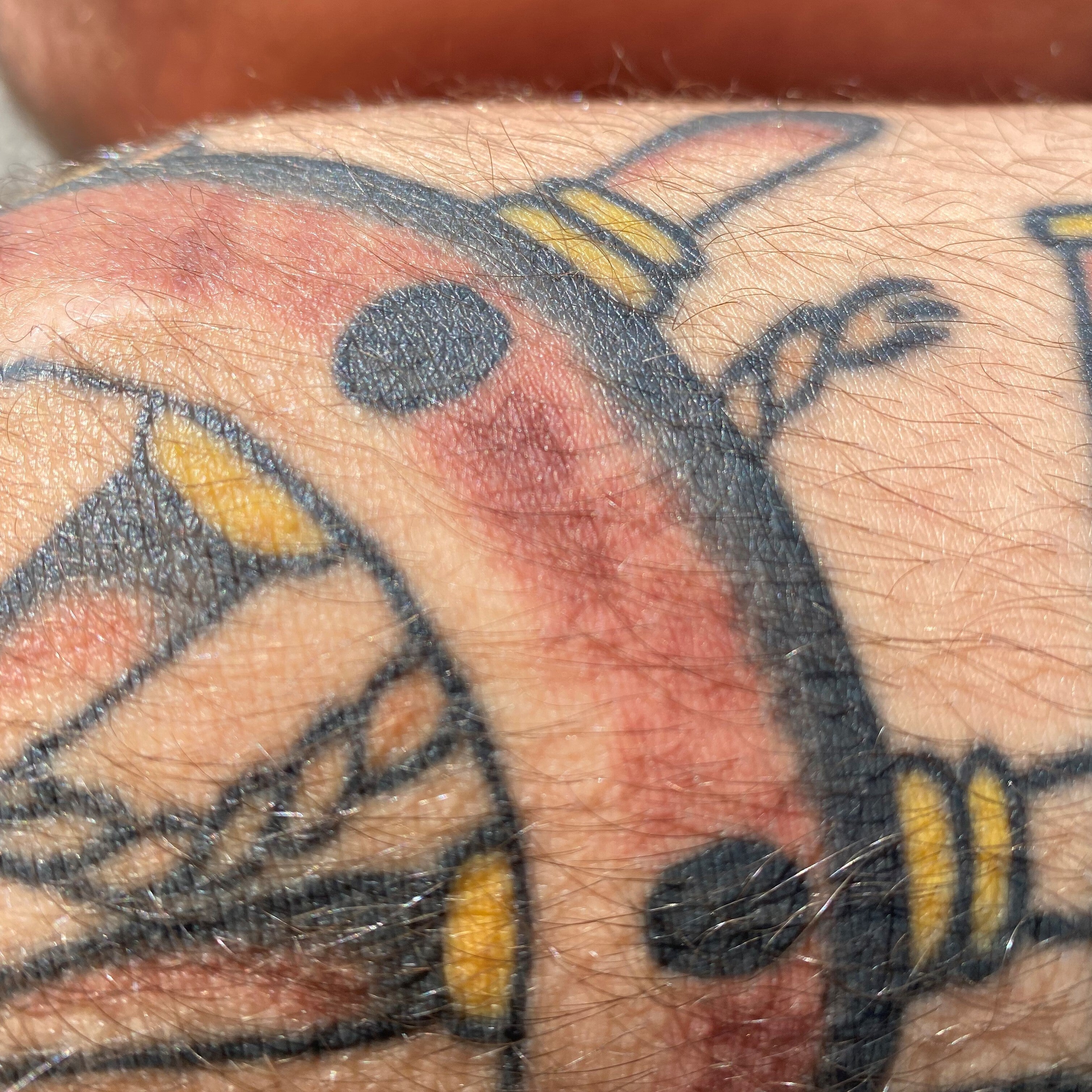 Tattoo Aftercare: What You Need To Know To Avoid Badly Healed And Infected  Tattooshttps://www.alienstattoo.com/post/tattoo-aftercare -what-you-need-to-know-to-avoid-badly-healed-and-infected-tattoos