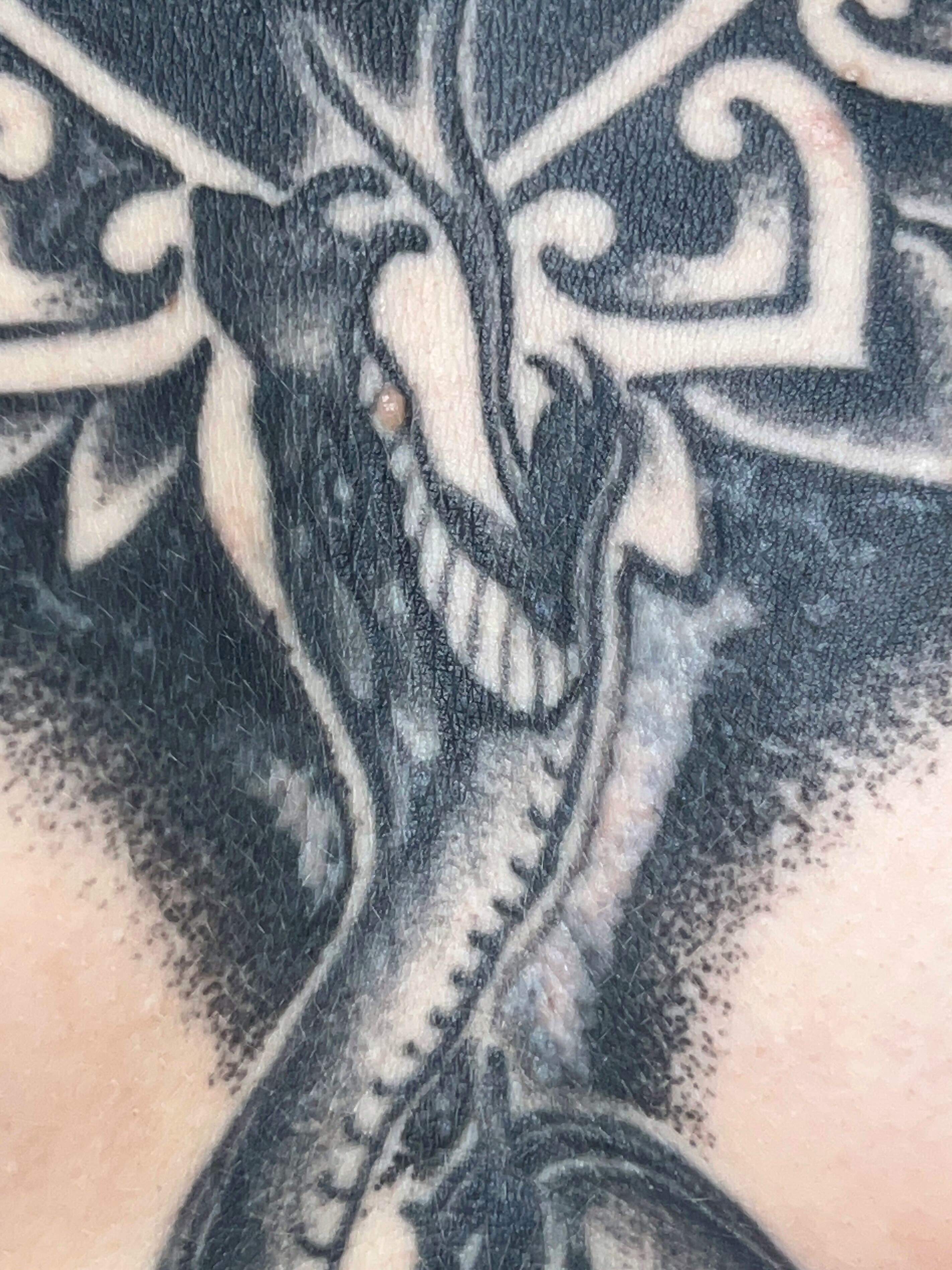 Tattoo healed incredibly poorly despite following aftercare advice exactly   rtattoo