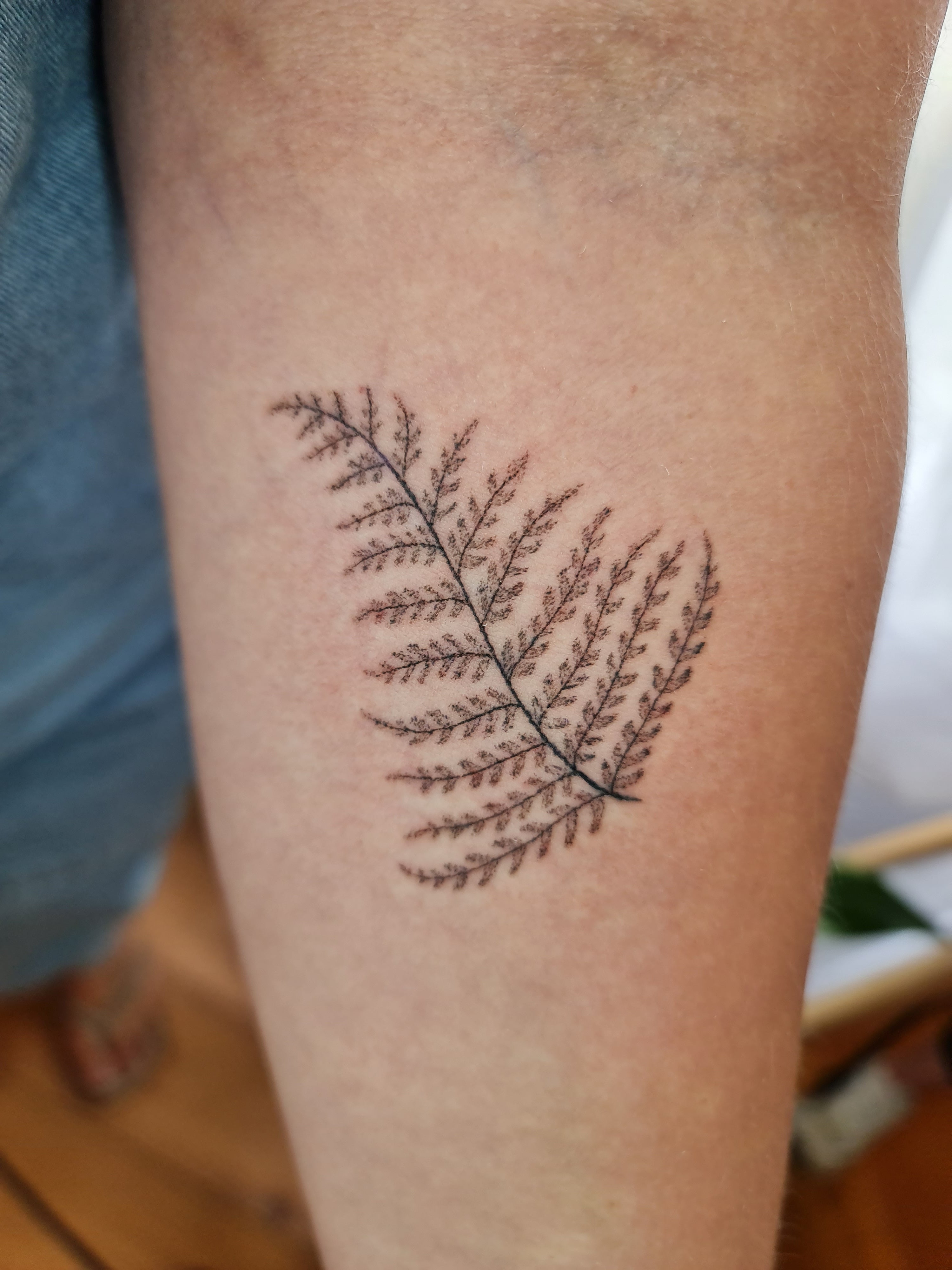 Fern tattoo by Sam McCabe