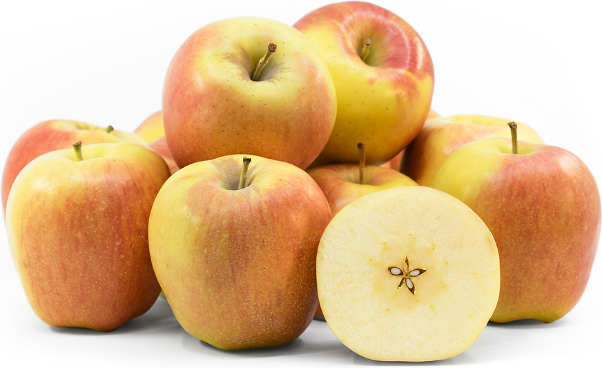 Apple, Honeycrisp (1lb) – The Good Earth Food Co-op
