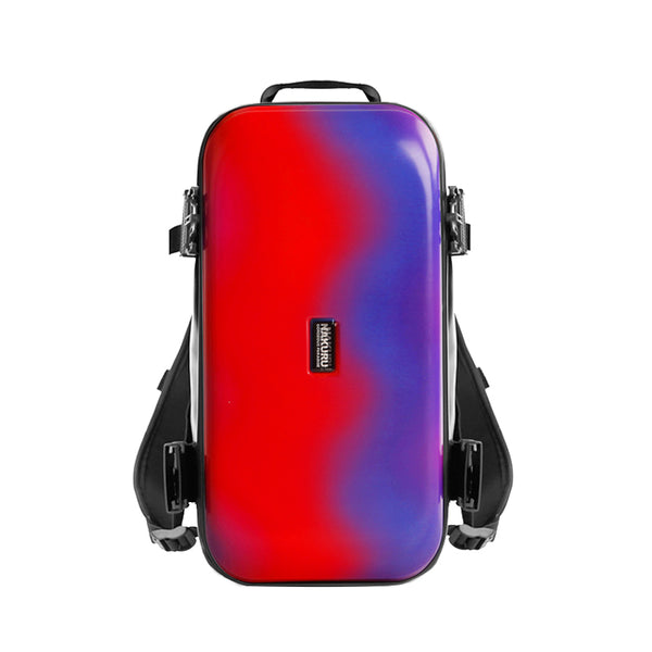 overhead luggage