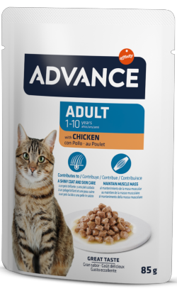 Advance Cat Adult Chicken | Wet (Sachet)