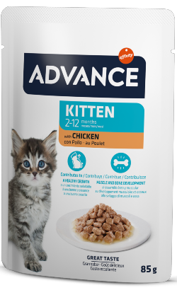 Advance_Cat_Kitten_Chicken_Wet_Saqueta