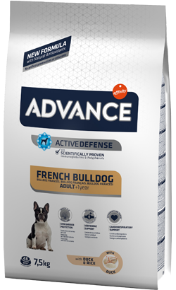 Advance_Dog_Adult_French_Bulldog