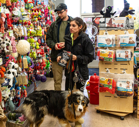 Can Your Dog Really Have Too Many Toys? - NorthPoint Pets & Company