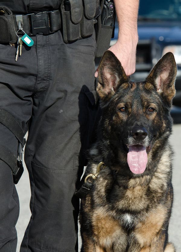 Police Dog Image