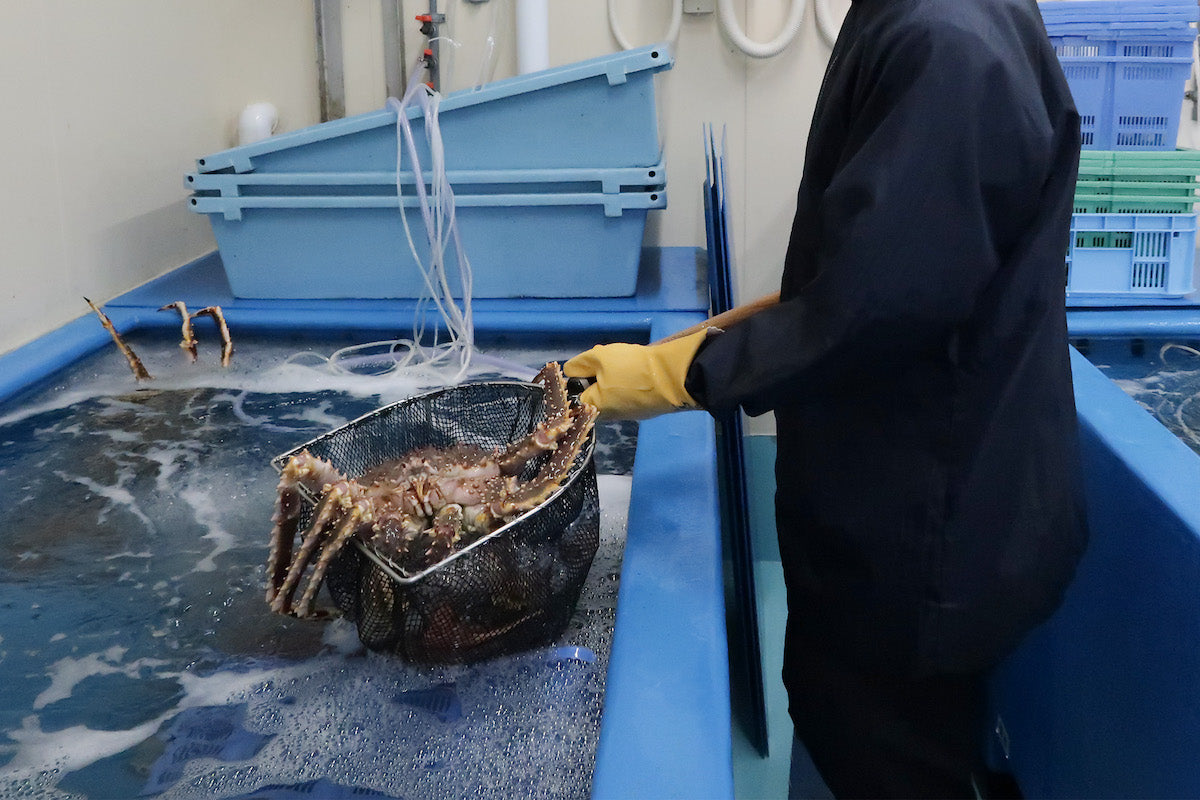 プロが目利きした北海道産の朝獲れ鮮魚を、各地へ迅速に配送している水産会社です