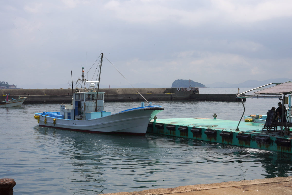 知多半島を囲む3つの海の恵みをお届けする
明治創業の老舗の水産会社です