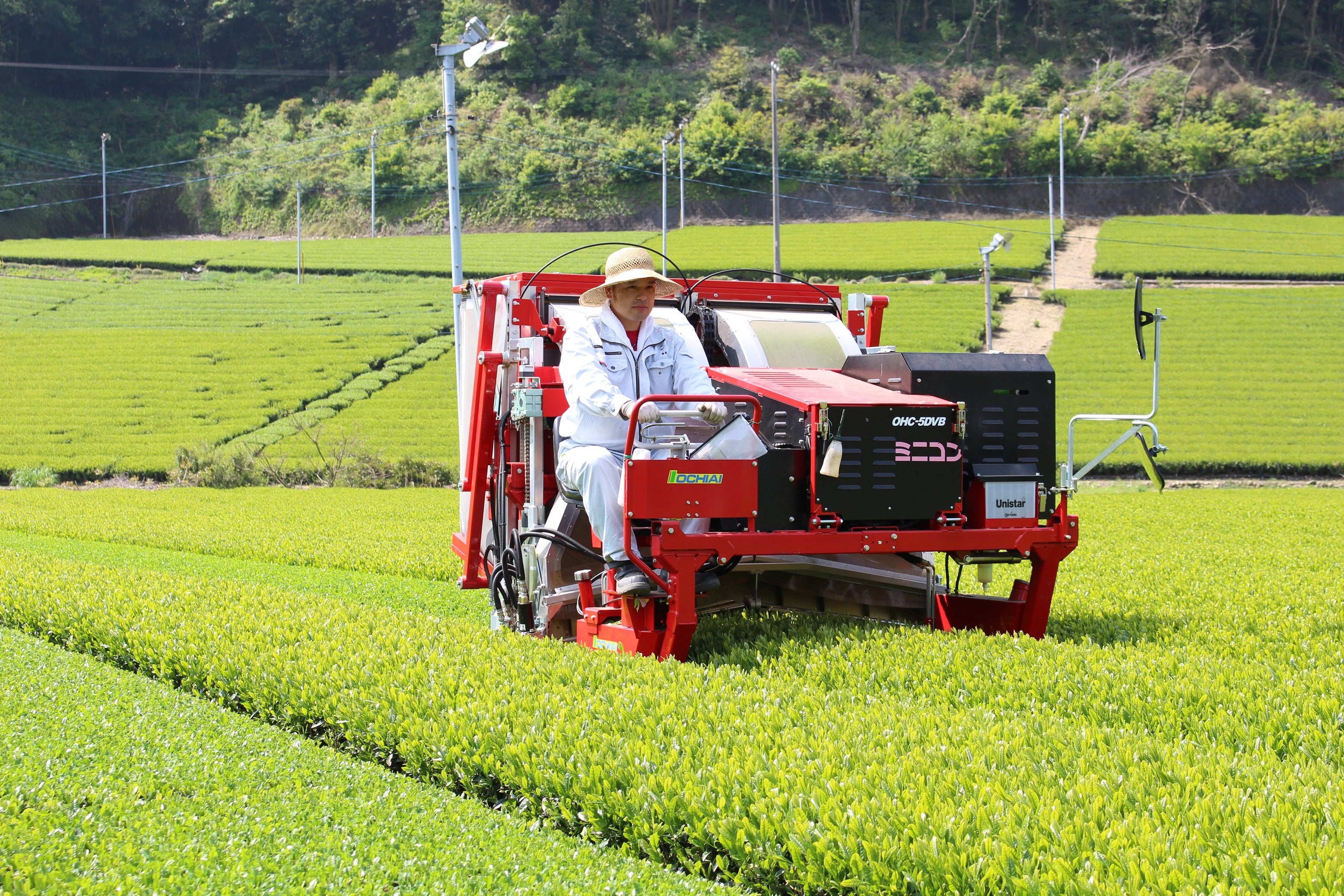 茶業界に新しい風を呼び込む、「驚き」を与える茶づくりを目指しています