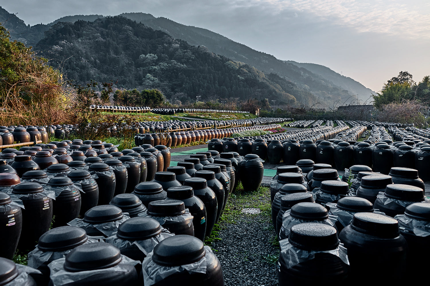 黒酢の醸造に最適な土地で、長年受け継がれる壺造り醸造