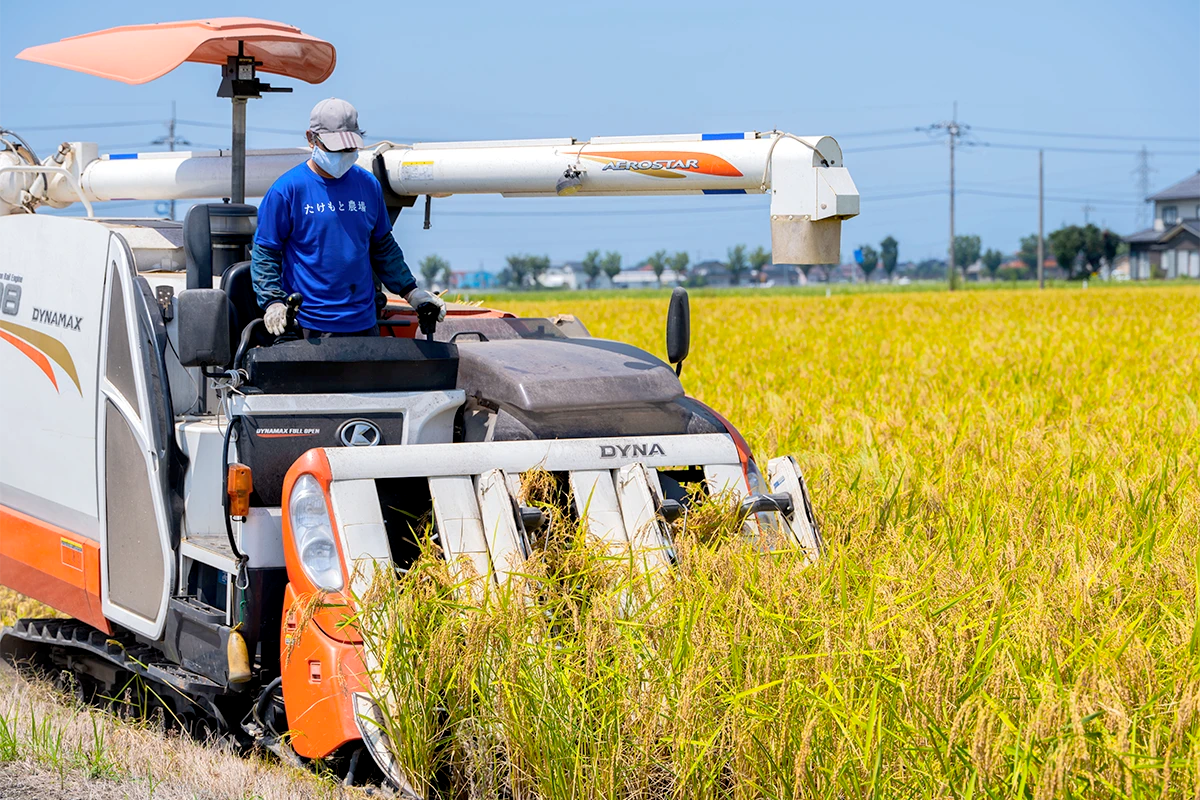 100％米由来の有機肥料「米の精」を使用
