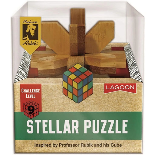 Letter Block Puzzle Albert Einstein # 3 Logic Game