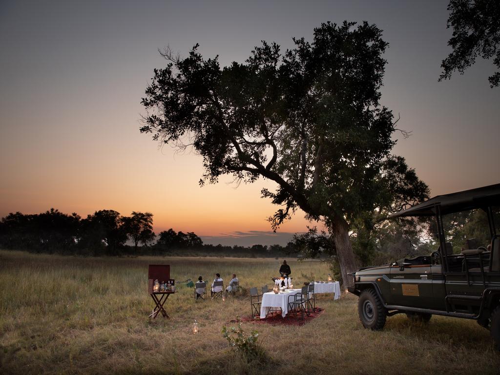 dining under the star in the african bush