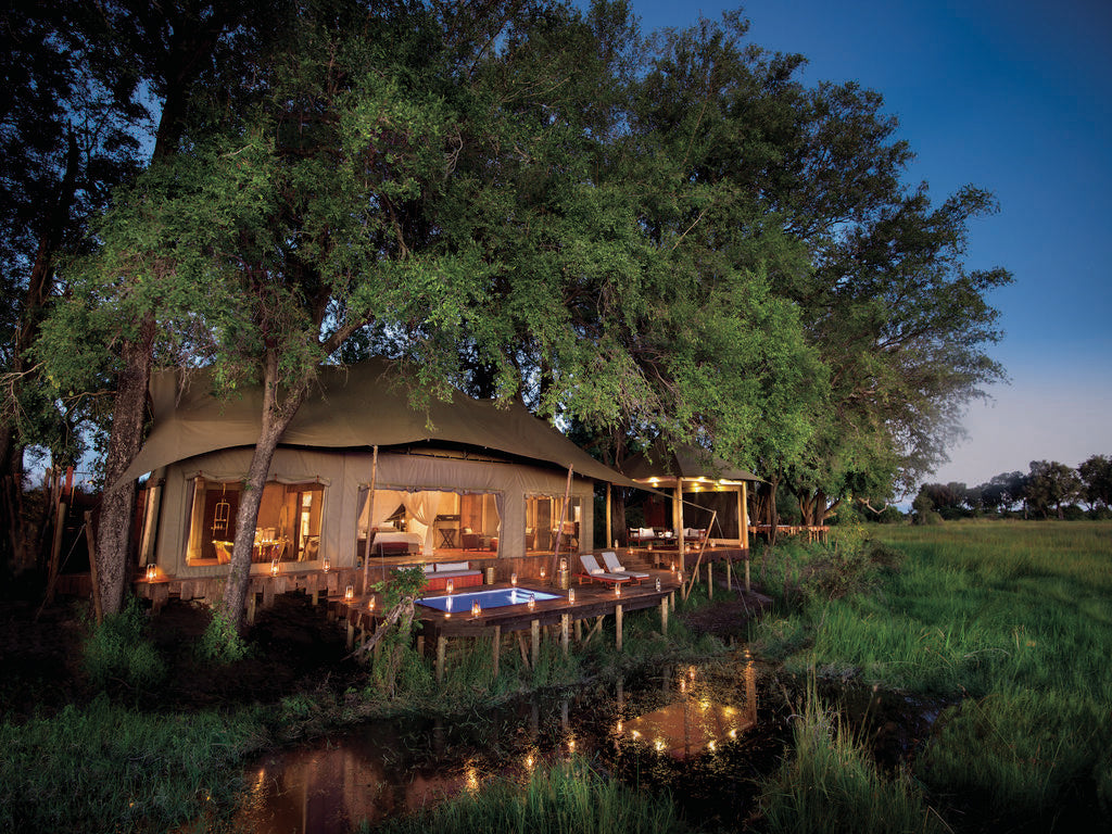 Luxury safari lodge okavango delta botswana