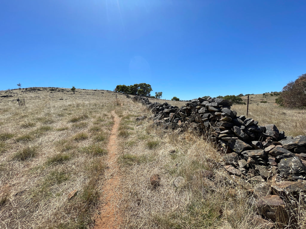 adelaide hills hiking