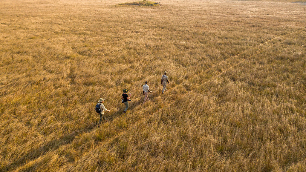 walking safaris kafue national park zambia