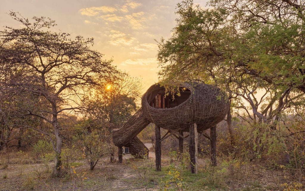 chisa safari camp kafue national park zambia