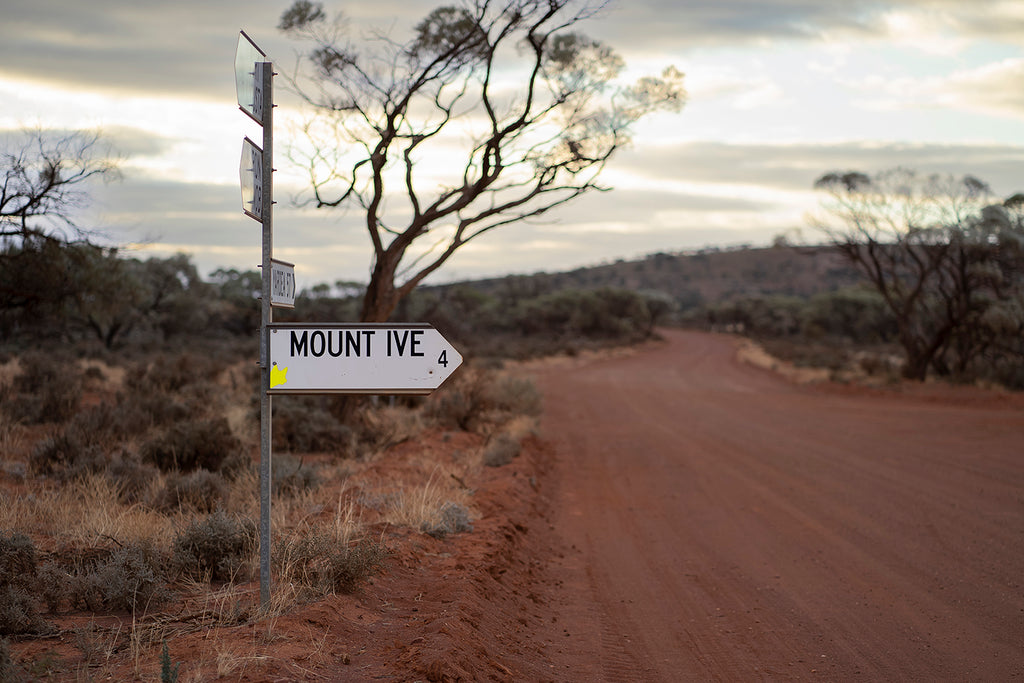 mt ive station south australia