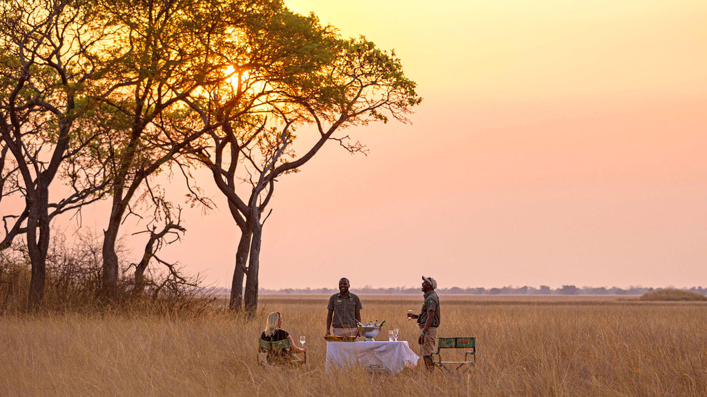 safari in zambia