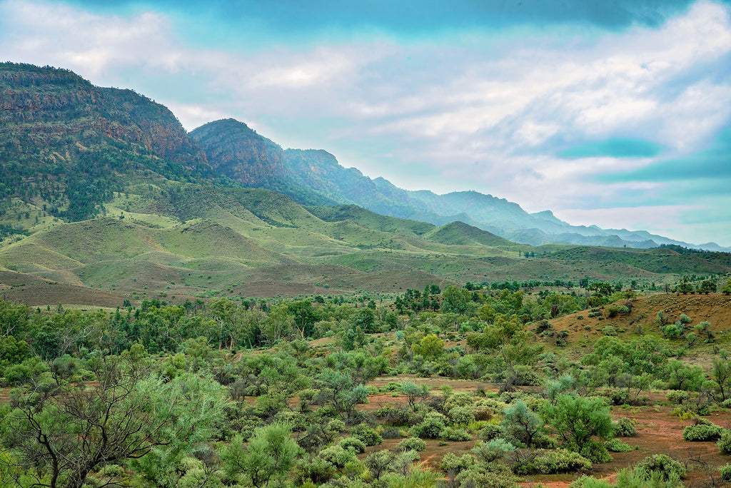 brachina gorge in the flinders ranges national park