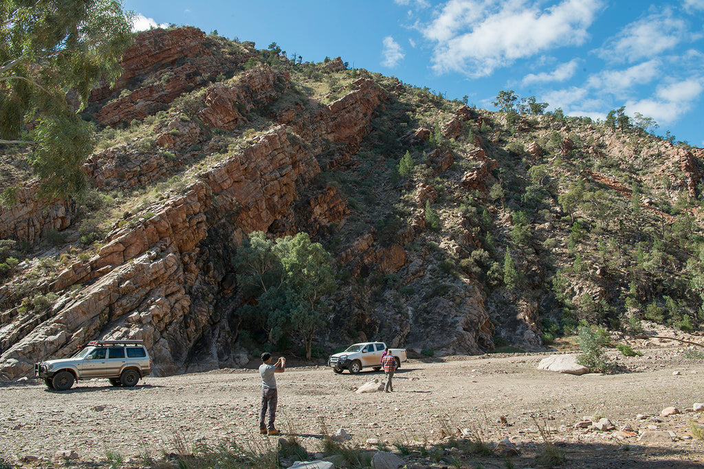 Bunyeroo gorge flinders ranges national park