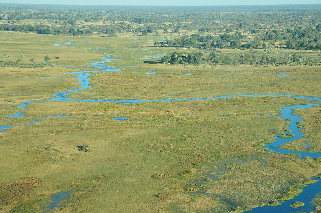 Okavango Delta Botswana