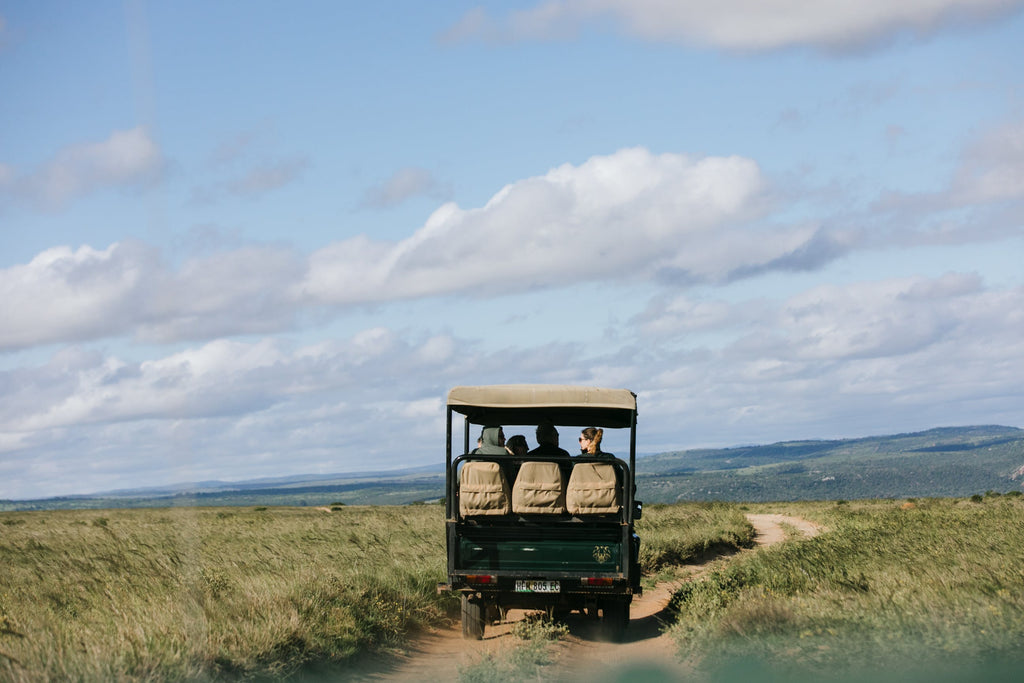 seregeti safari africa