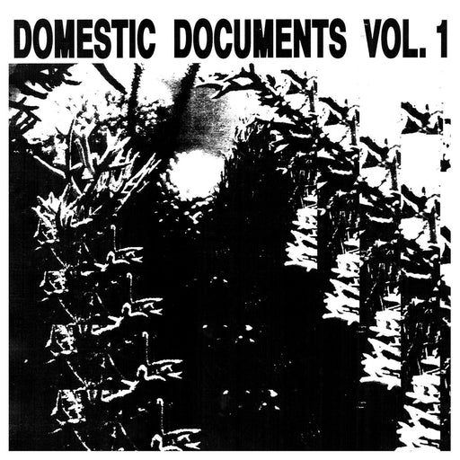 Domestic Documents Vol. 1