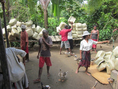 women organizing rearing basket distribution