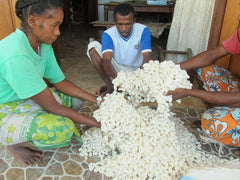 membres de l'équipe malgache avec des cocons bombyx non teints