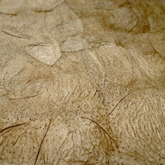 undyed ceranchia dense textile close up