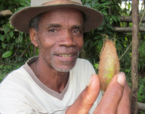 farmer with cocoon